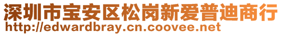 深圳市宝安区松岗新爱普迪商行