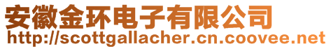 安徽金環(huán)電子有限公司
