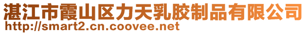 湛江市霞山区力天乳胶制品有限公司