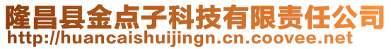 隆昌縣金點子科技有限責任公司