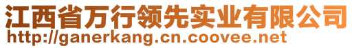 江西省万行领先实业有限公司