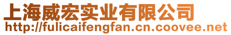 上海威宏實(shí)業(yè)有限公司