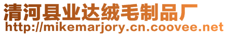 清河縣業(yè)達(dá)絨毛制品廠