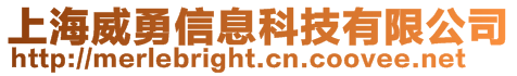 上海威勇信息科技有限公司