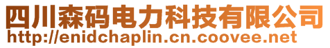 四川森码电力科技有限公司