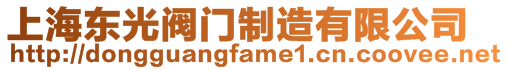 上海東光閥門(mén)制造有限公司