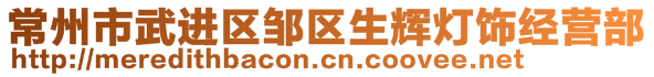 常州市武進區(qū)鄒區(qū)生輝燈飾經(jīng)營部