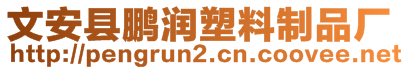 文安县鹏润塑料制品厂