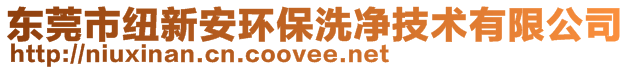 东莞市纽新安环保洗净技术有限公司