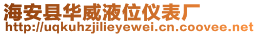 海安縣華威液位儀表廠