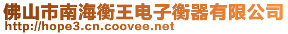 佛山市南海衡王電子衡器有限公司