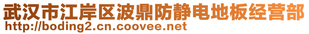 武漢市江岸區(qū)波鼎防靜電地板經(jīng)營(yíng)部