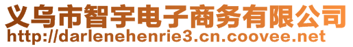義烏市智宇電子商務有限公司
