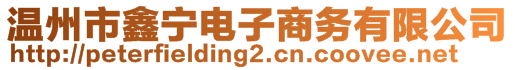 溫州市鑫寧電子商務(wù)有限公司