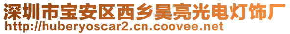 深圳市宝安区西乡昊亮光电灯饰厂