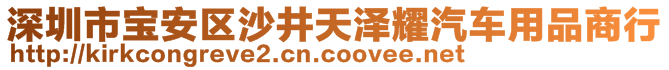 深圳市寶安區(qū)沙井天澤耀汽車用品商行