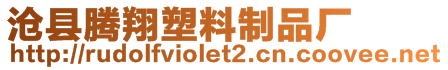 滄縣騰翔塑料制品廠