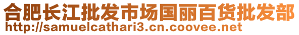 合肥长江批发市场国丽百货批发部