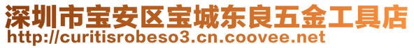 深圳市寶安區寶城東良五金工具店