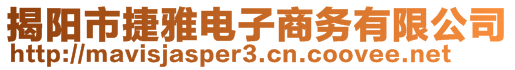 揭陽市捷雅電子商務(wù)有限公司