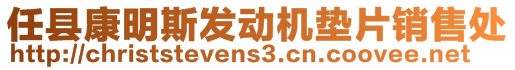 任縣康明斯發(fā)動機(jī)墊片銷售處