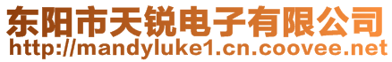 東陽市天銳電子有限公司