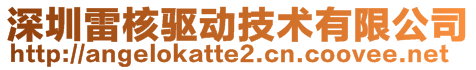 深圳雷核驅(qū)動(dòng)技術(shù)有限公司