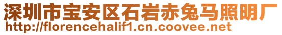 深圳市宝安区石岩赤兔马照明厂