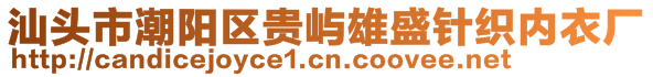 汕頭市潮陽區(qū)貴嶼雄盛針織內(nèi)衣廠