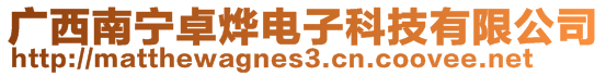 廣西南寧卓燁電子科技有限公司