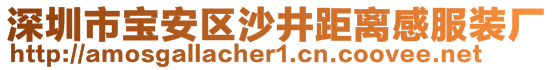 深圳市寶安區(qū)沙井距離感服裝廠