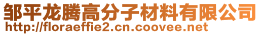 鄒平龍騰高分子材料有限公司