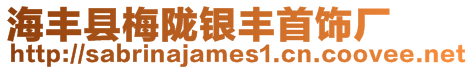 海豐縣梅隴銀豐首飾廠