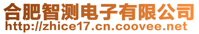 合肥智测电子有限公司