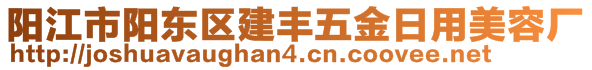 陽江市陽東區(qū)建豐五金日用美容廠