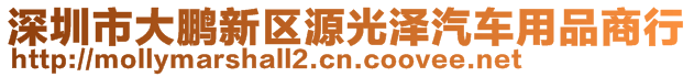 深圳市大鵬新區(qū)源光澤汽車用品商行