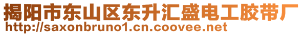 揭陽市東山區(qū)東升匯盛電工膠帶廠