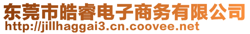 東莞市皓睿電子商務(wù)有限公司