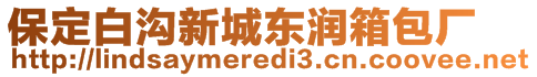 保定白溝新城東潤(rùn)箱包廠