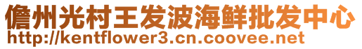 儋州光村王發(fā)波海鮮批發(fā)中心