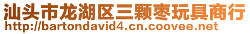 汕頭市龍湖區三顆棗玩具商行