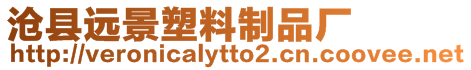 滄縣遠景塑料制品廠