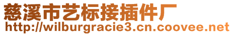 慈溪市藝標接插件廠