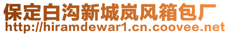 保定白沟新城岚风箱包厂