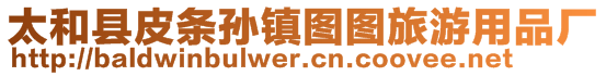 太和縣皮條孫鎮圖圖旅游用品廠