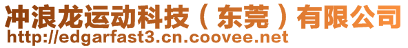 沖浪龍運(yùn)動科技（東莞）有限公司