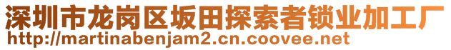 深圳市龍崗區(qū)坂田探索者鎖業(yè)加工廠