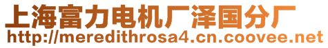 上海富力電機(jī)廠澤國(guó)分廠