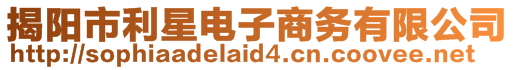 揭陽市利星電子商務(wù)有限公司