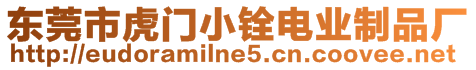 東莞市虎門小銓電業(yè)制品廠